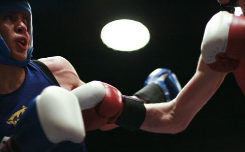 Giving Facts a Fighting Chance